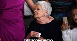 Boda-Paola-y-Luis-Miguel-473