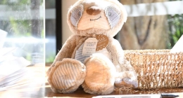 Baby-Shower-Alessa-de-Alba_5597