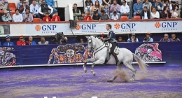 Corrida-Despedida-Pablo-Hermoso_7246