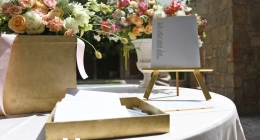 Despedida-Ale-Obregón_6170