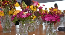 Boda-Marijose-Obaya-&-Emilio-Barrientos_4906