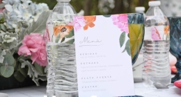 Despedida-Ana-Gaby-Aristi_2886