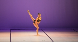 0d222c2e-1ebb-4f5a-acbd-362c481247d2