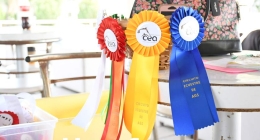 4ta-Competencia-Ecuestre_4135