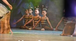 Sueño-de-una-Noche-de-Verano--BCA_9536