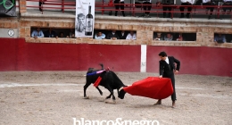 Festival-Taurino-059