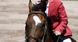 Competencias-Ecuestres-033