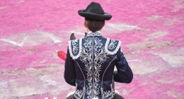 Corrida-Despedida-Pablo-Hermoso_7187