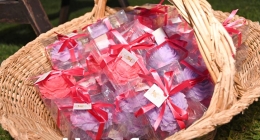 Baby-Shower-Diana-Gtz_9612