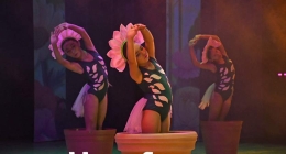 Presentación-Daanz_9623