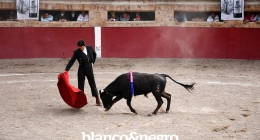 Festival-Taurino-061