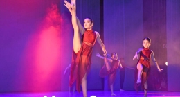 Presentación-Daanz_9519