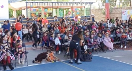 WhatsApp Image 2023-11-03 at 1.27.26 PM JN2