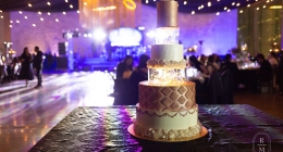 FABIOLA VALDOS CUMPEAÑOS 50-115