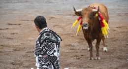 Novillada-Jovenes-Hidrocalidos_3001