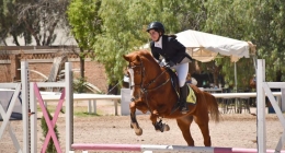 Competencias-Ecuestres-053