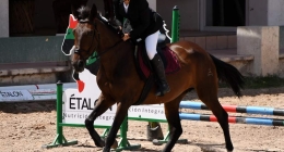 Competencias-Ecuestres-183