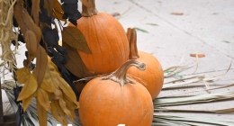 WorkShop-by-El-Mercadito_1235