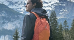 ENRIQUE AGUIRRE: ALPES SUIZOS