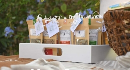 Despedida-Karla-Mtz_9353