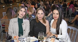 Pasarela-Pineda-Covalin_9242