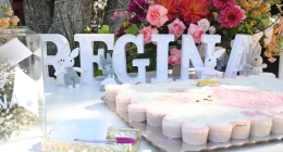 Baby-Shower-Dulce-Macias_5295