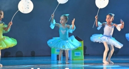 Presentación-Daanz_9755