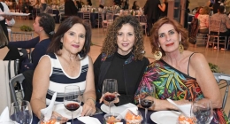 Pasarela-Pineda-Covalin_8849