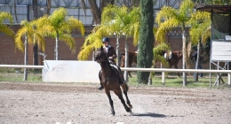 Final-Hípica-Santa-Clara_5721