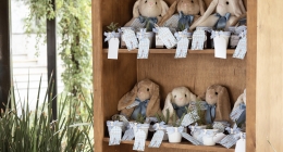 898FCE5C-48F9-4287-8D9B-7D85584AD0C5