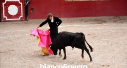 Festival-Taurino-265