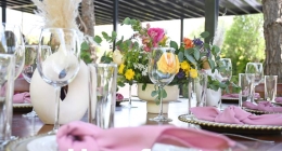 Despedida-de-Soltera-Diana-Olmos_9104