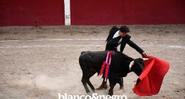 Festival-Taurino-099