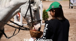 Competencias-Ecuestres-287