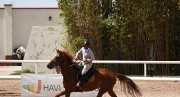 Competencias-Ecuestres-215