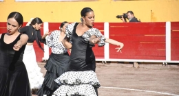 Septima-Novillada_5480