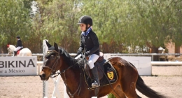 Competencias-Ecuestres-098