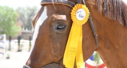 Septima-Competencia-CEA_4630