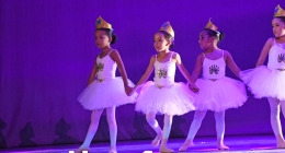 Presentación-Daanz_9399