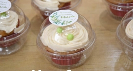 Baby-Susana-Angel_1108