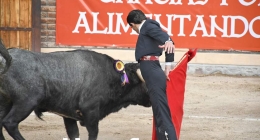 Corrida-de-Toros-Bifam_2193