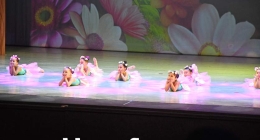 Sueño-de-una-Noche-de-Verano--BCA_0103