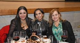 Pasarela-Pineda-Covalin_9258