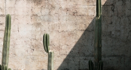 BLANCO Y NEGRO: ESPECIAL MÉXICO