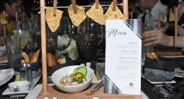 XV-Anaisa-de-Luna_0351