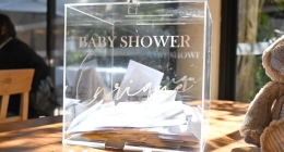 Baby-Shower-Alessa-de-Alba_5601