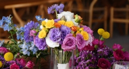 Boda-Paola-y-Luis-Miguel-023