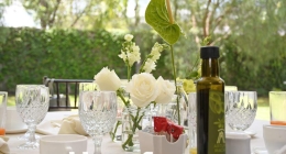 Despedida-de-Soltera-María-Fernanda-Alcubierre_9024