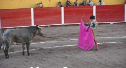 Septima-Novillada_5795