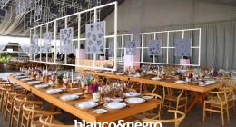 Boda-Paola-y-Luis-Miguel-019